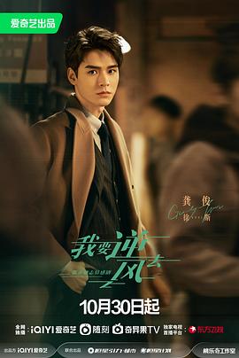 乐山网站建设和优化费用